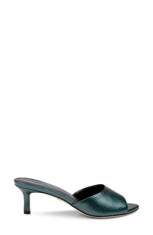 Shop Dee Ocleppo Bogota Pointed Toe Slide Sandal In Moss Leather