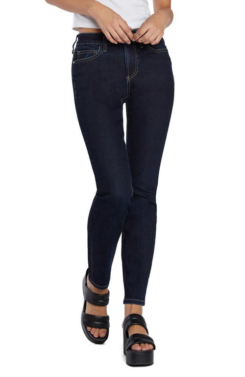Mid Rise Skinny Jeans in Lucca Blue