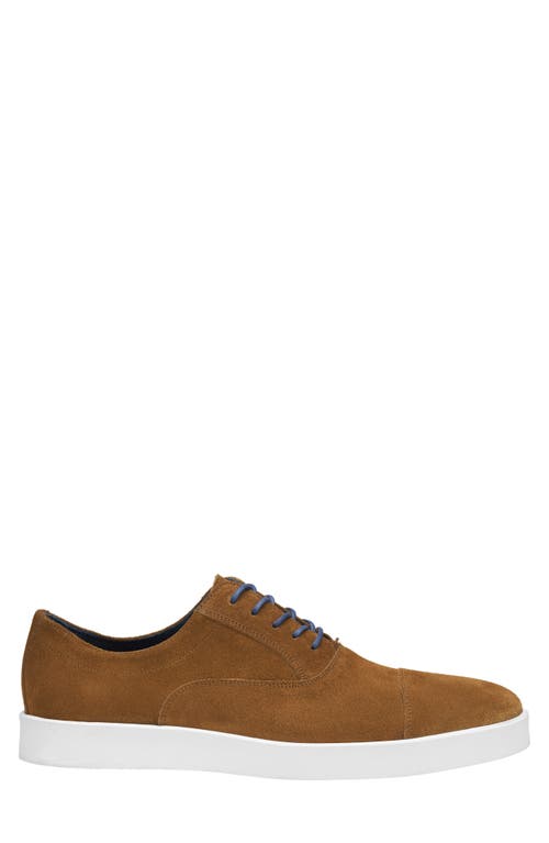 Johnston & Murphy Bolivar Cap Toe Sneaker In Snuff Italian Suede
