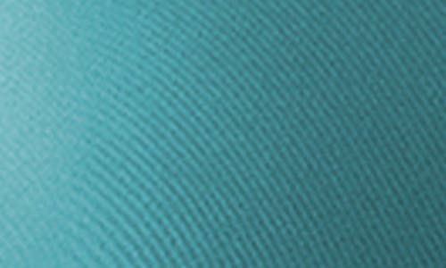 Wacoal Sleek Standard Seamless Underwire Bra In Brittany Blue