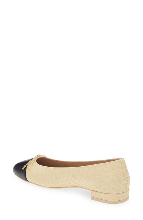 Shop Stuart Weitzman Sleek Cap Toe Bow Flat In Wheat/black