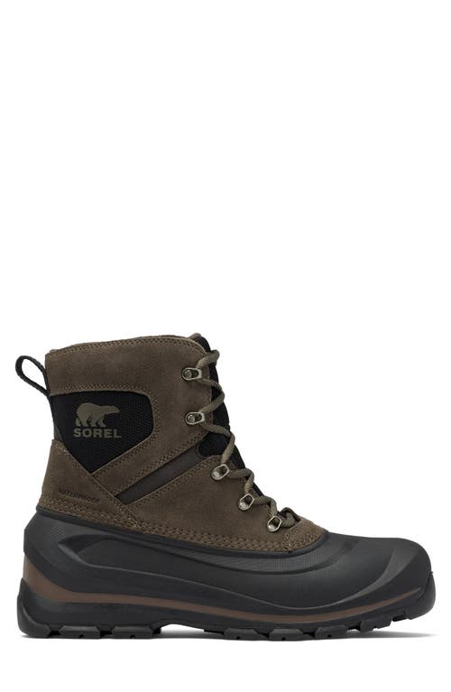 Shop Sorel Buxton Waterproof Snow Boot In Major/black