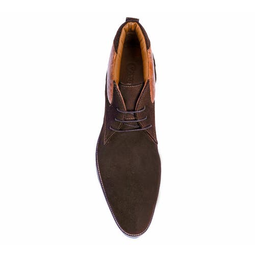 Carlos Santana Morello Chukka Boot In Brown