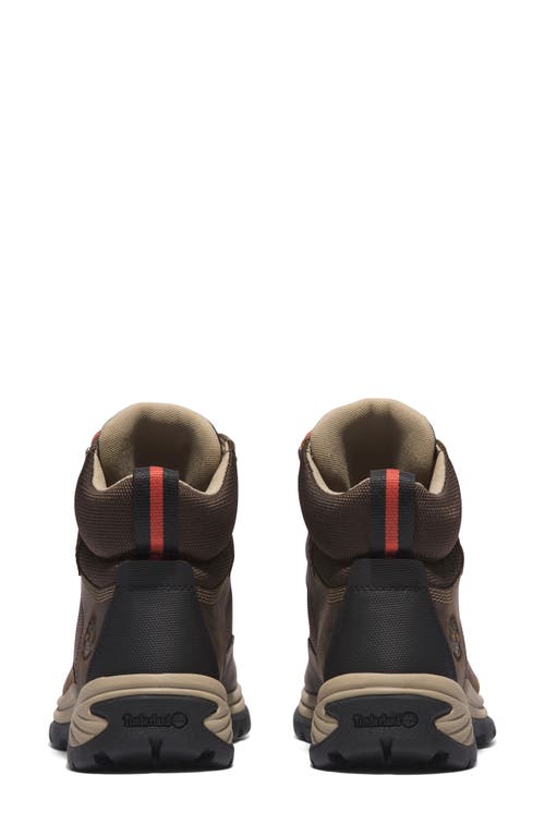 Timberland White Ledge Waterproof Hiking Boot In Chocolate Brown