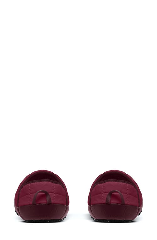 Shop The North Face Thermoball™ Water Repellent Traction V Mule In Beetroot/alpine Plum