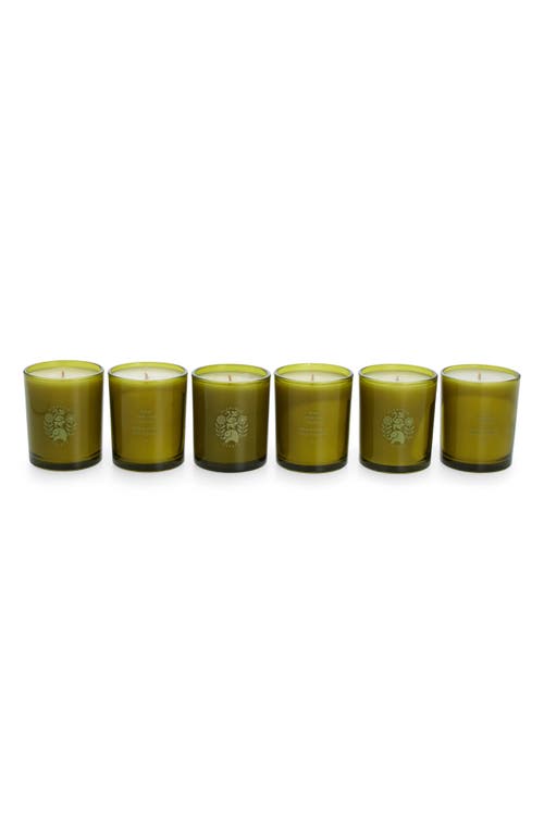 Flamingo Estate The Tomato Ambiance Set, 6 X 3.4 Oz. In Multi