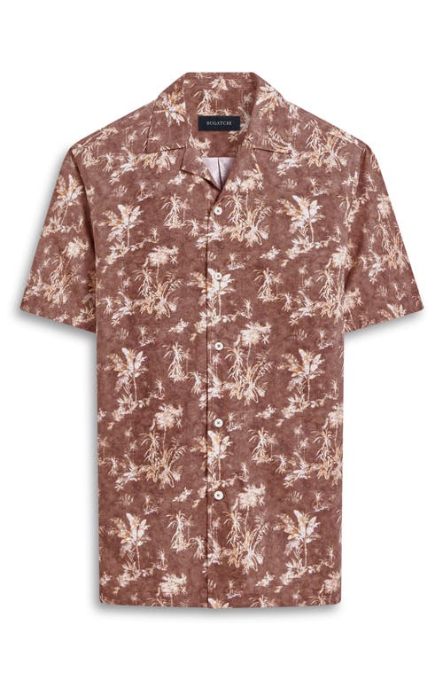 Shop Bugatchi Jackson Shaped Fit Palm Tree Print Button-up Camp Shirt In Mocha