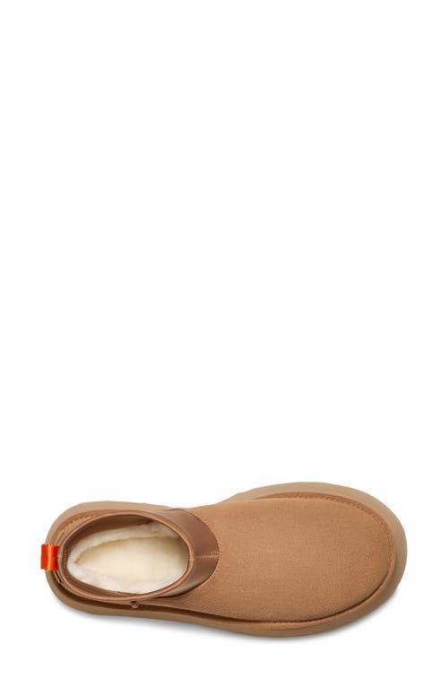 Ugg(r) Biscuit Suede Classic Mini Dipper Ankle Boots In Chestnut