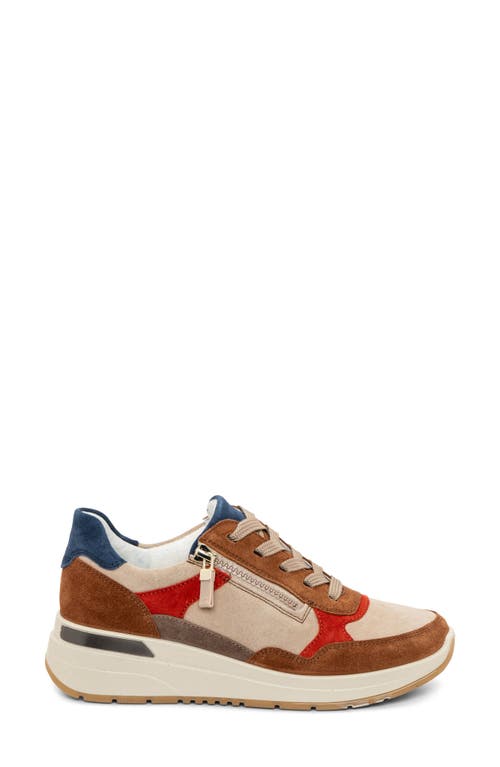 Shop Ara Gardenia Wedge Sneaker In Nuts/sand Pump/sesame