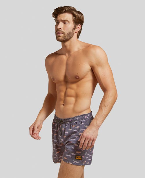 Shop Strangers Only Running Cheetah Swim Short In Charcoal/cheetah