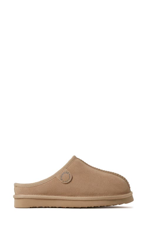 Dearfoams Greta Genuine Shearling Clog Slipper In Sand