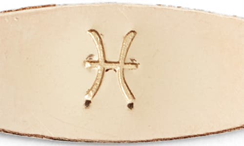 Set & Stones Zodiac Sign Id Bracelet In Pisces
