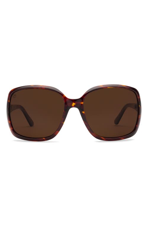 Electric Marin 56mm Polarized Oversize Square Sunglasses In Gloss Tort/bronze Polar