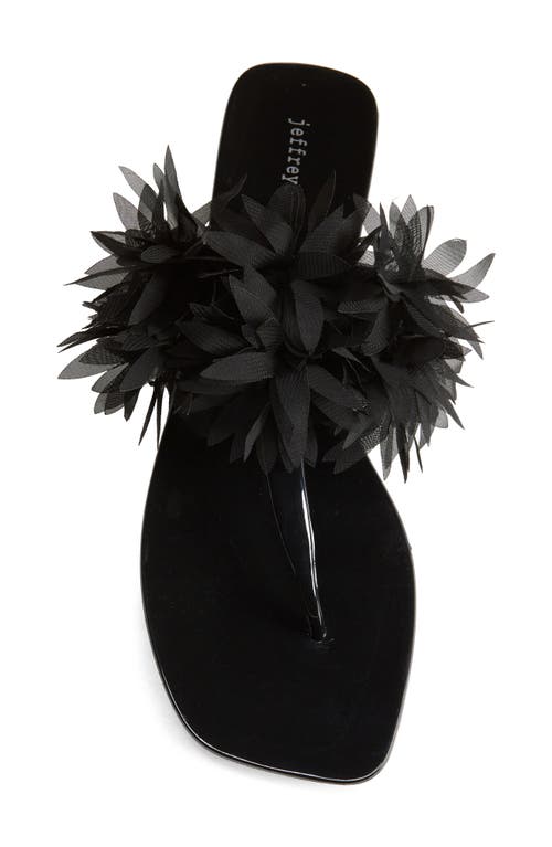 Jeffrey Campbell Pollinate T-strap Sandal In Black Shiny