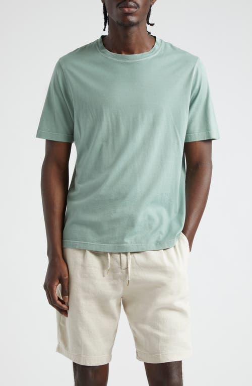 Classic Cotton T-Shirt in Sage
