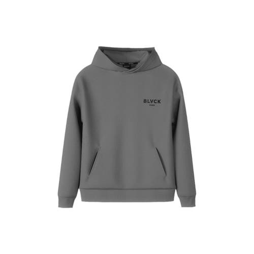 Blvck Paris Blvck Shades Hoodie In Light Grey
