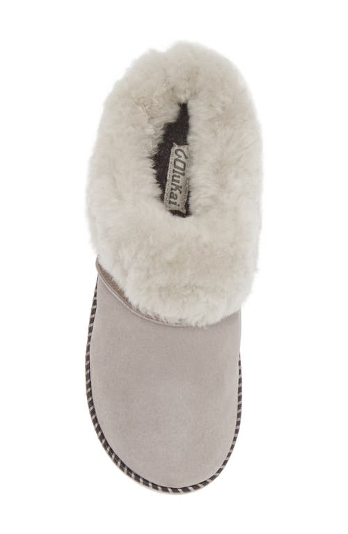 Shop Olukai Genuine Shearling Slipper In Fog/mist Grey