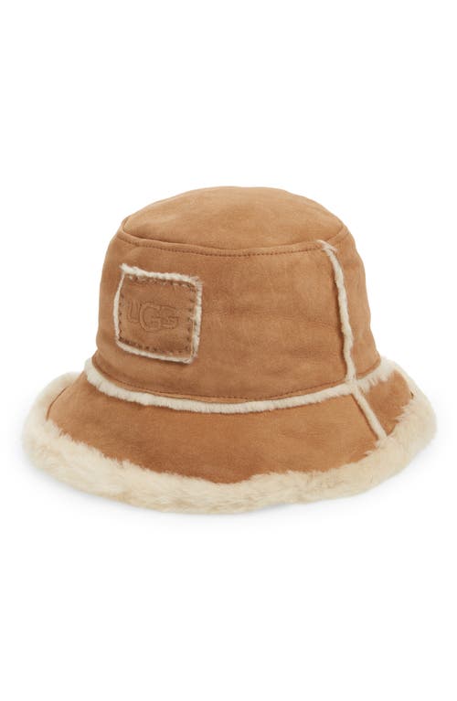 UGG(r) Genuine Shearling Bucket Hat in Chestnut