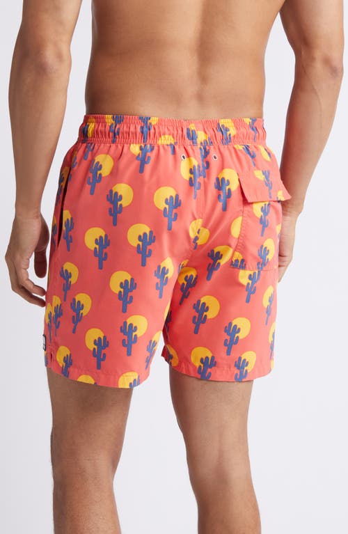 Tom & Teddy Cactus Print Performance Swim Trunks In Deep Rose