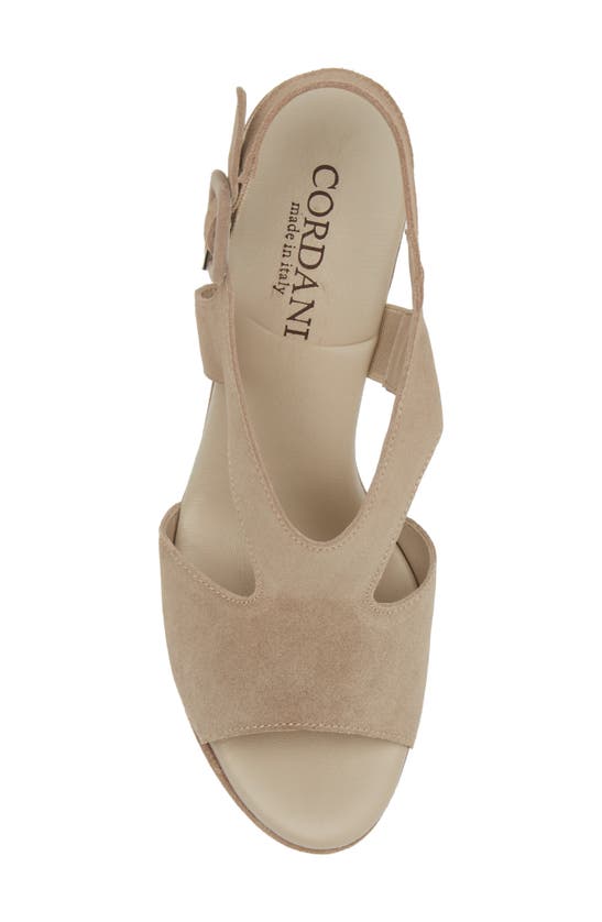 Shop Cordani Taylin Platform Sandal In Tortora Suede