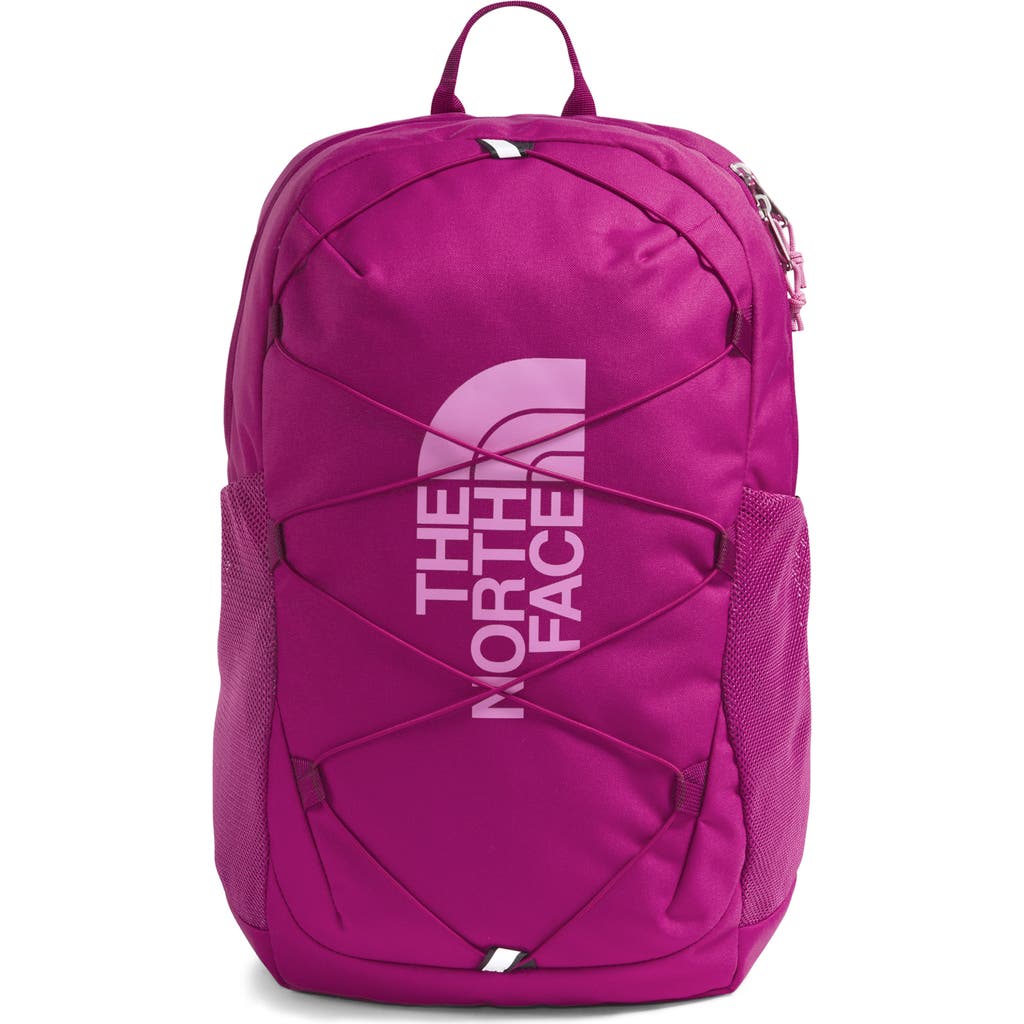 The North Face Kids' Youth Court Jester Packpack In Purple