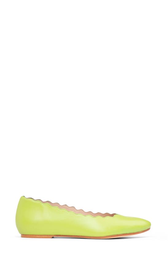 Shop Patricia Green Palm Beach Scalloped Ballet Flat In Lime