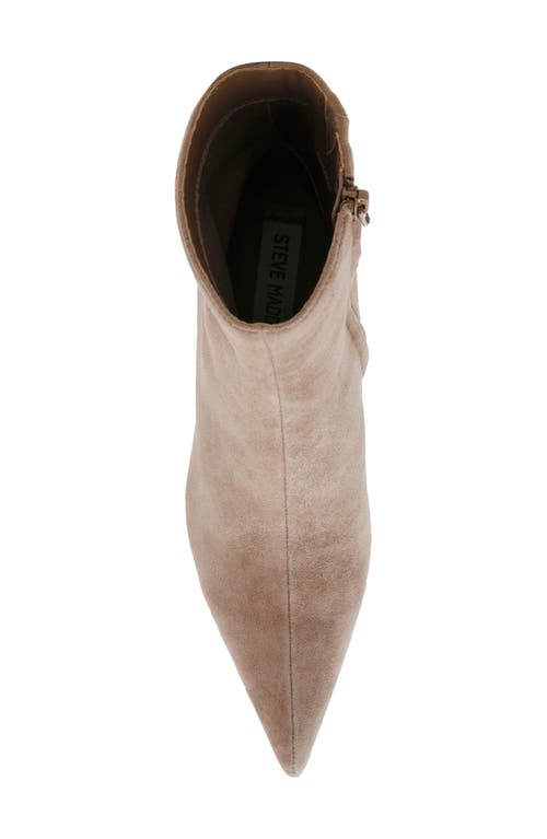 Shop Steve Madden Alston Pointed Toe Bootie In Taupe Suede