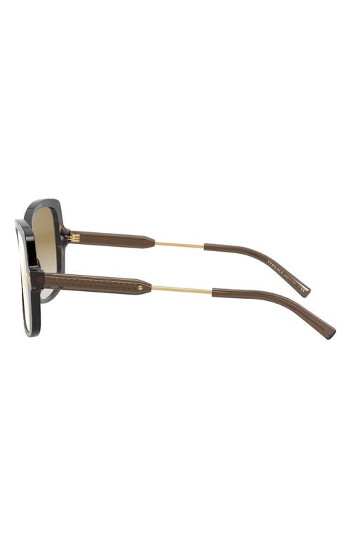 Shop Versace 56mm Square Sunglasses In Havana/brown Grad Mirror Gold