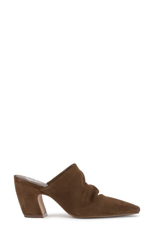 Vince Camuto Carlie Pointed Toe Mule In Reishi Brown