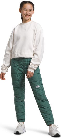 The north clearance face thermoball pants