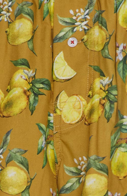 Shop Druthers Nyc Organic Cotton Watercolor Lemons Boxer Short In Mustard