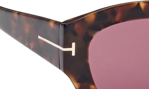 Tom Ford Guilliana 52mm Geometric Sunglasses In Shiny Dark Havana/bordeaux