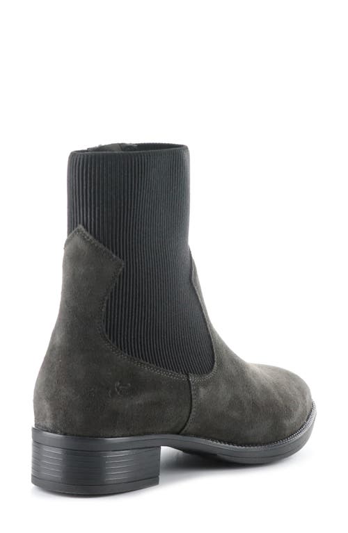 Shop Bos. & Co. Alter Waterproof Bootie In Grey/black