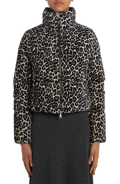 Moncler Sebou Leopard Print Crop Down Jacket Black at Nordstrom,