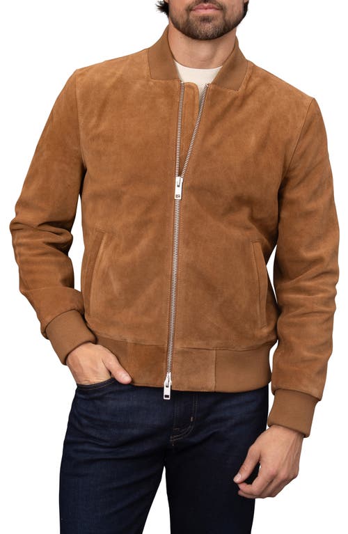 Shop Bagatelle Suede Bomber Jacket In Cognac