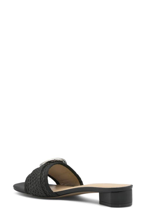 Shop Adrienne Vittadini Poris Slide Sandal In Black