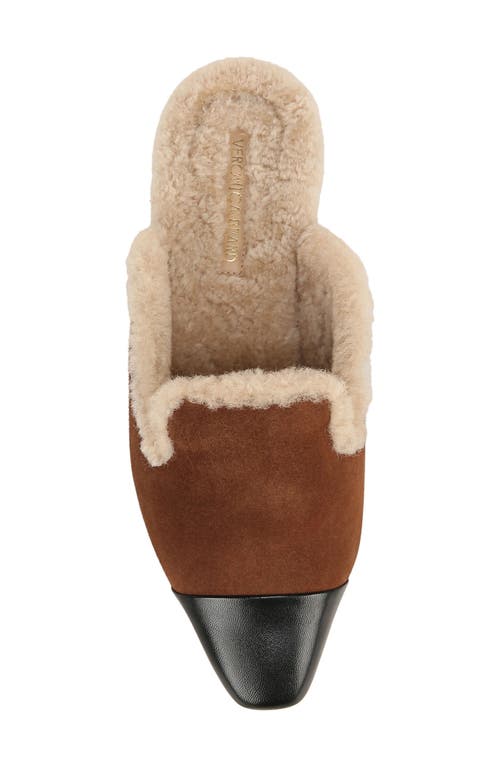 Shop Veronica Beard Cecile Genuine Shearling Mule In Cedar/black