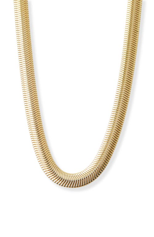 Snake Chain Collar Necklace in Gold