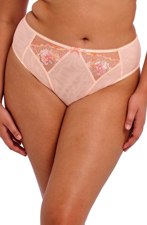 Elomi Himari Embroidered High Cut Briefs In Pink