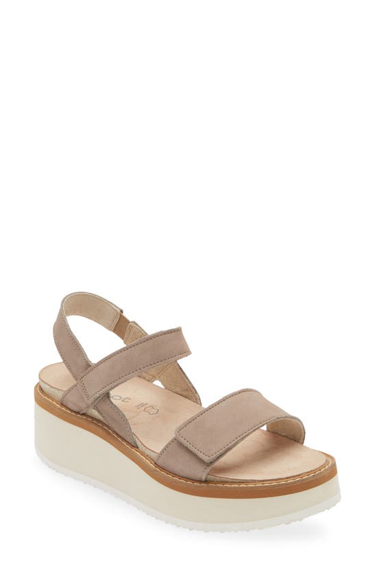 Shop Naot Meringue Wedge Sandal In Stone Nubuck