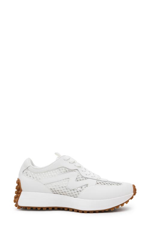 Shop Steve Madden Campo Sneaker In White Mesh
