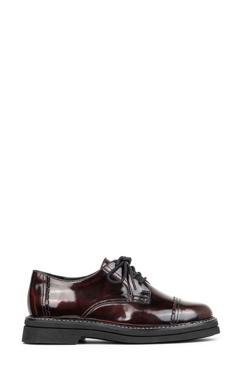 Shop Donald Pliner Leonardo Cap Toe Derby In Bordeaux