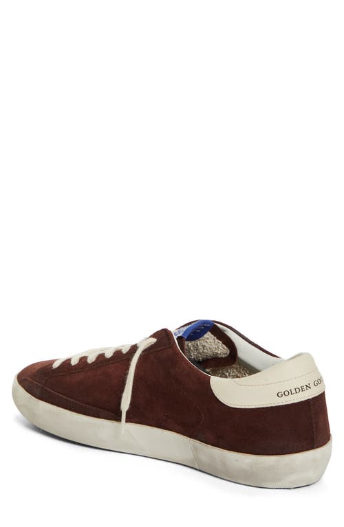 Shop Golden Goose Super-star Classic Sneaker In Rum Raisin/white/cream