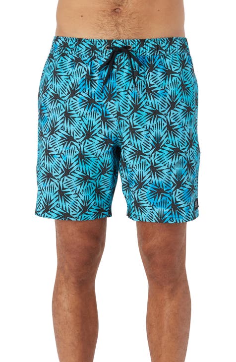 Men's Blue/Green Swim Trunks | Nordstrom