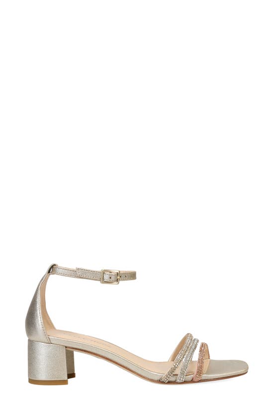 Shop Pelle Moda Waite Ankle Strap Sandal In Blush