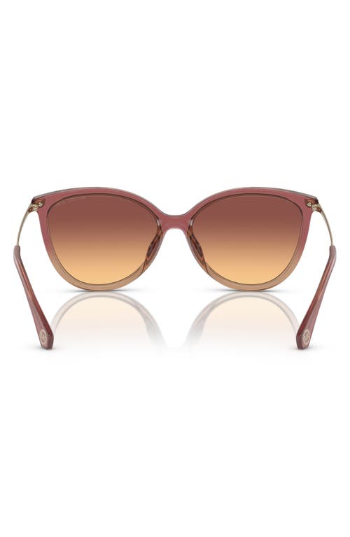 Michael Kors 56mm Gradient Cat Eye Sunglasses In Amber
