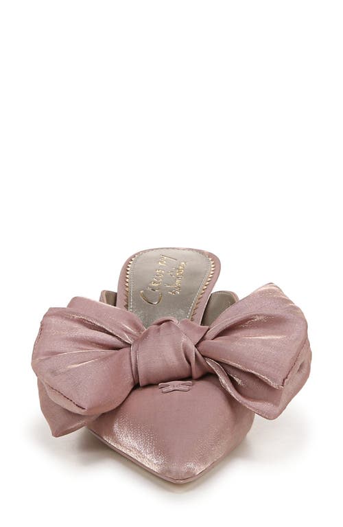 Shop Circus Ny By Sam Edelman Fiona Pointed Toe Mule In Blush French Macaroon