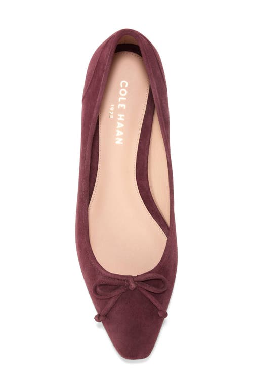 COLE HAAN COLE HAAN CHLEA POINTED TOE BALLET FLAT 