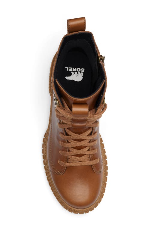Sorel Ona Ave Lace Boots Velvet Tan/gum 2 In Velvet Tan/gum
