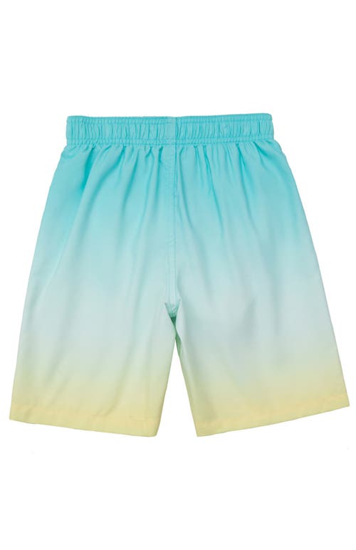 Shop Rokka&rolla Toddler Swim Trunks With Mesh Lining Upf 50+ In Mint Vibes